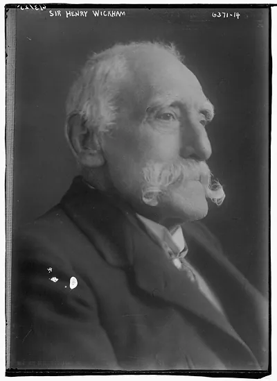 Sir Henry Wickham