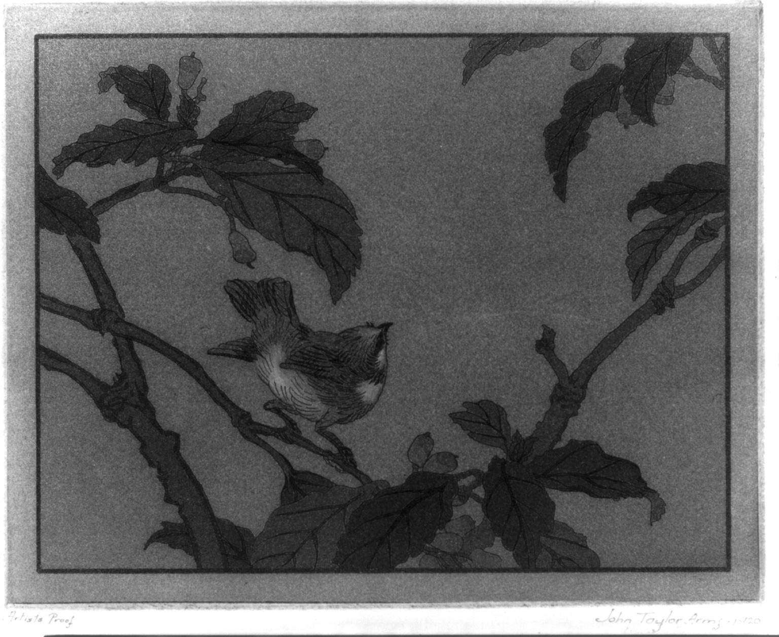 Early bird, 1920 — historic print