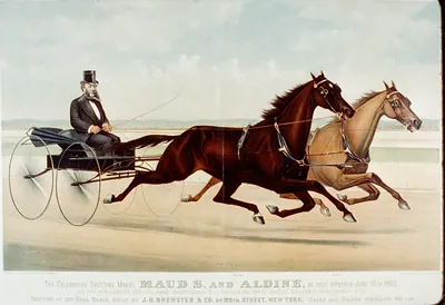 The celebrated trotting mares Maud S. and Aldine, as they appeared June 15th 1883: At the gentlemen's driving park, Morrisania, N.Y. driven by their owner, William H. Vanderbilt, Esq.