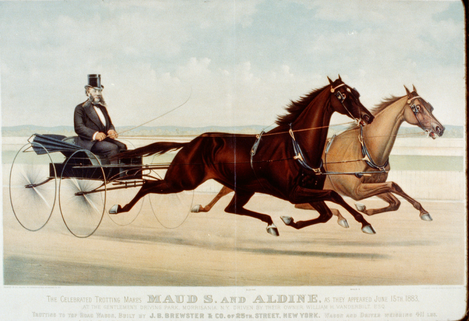 The celebrated trotting mares Maud S. and Aldine, as they appeared June 15th 1883: At the gentlemen's driving park, Morrisania, N.Y. driven by their owner, William H. Vanderbilt, Esq., [New York] : Currier & Ives, 1883. — antique lithograph