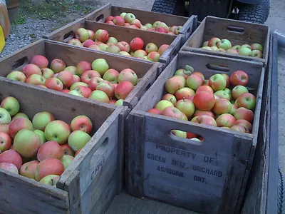 Apple crates stencilled Property of Green Brae Orchard, Ashburn, Ont.