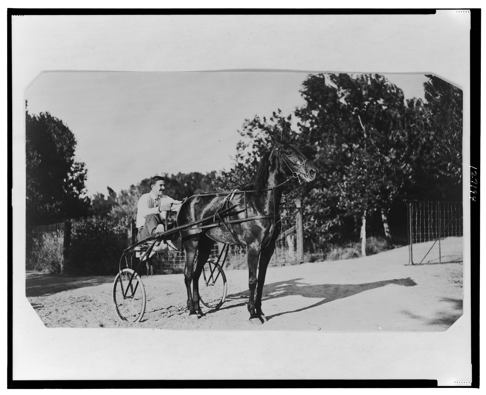 [Edward Beale McLean on horse-drawn cart on the McLean estate, Clonmel, in Colorado], [1909(?)] — historic photograph