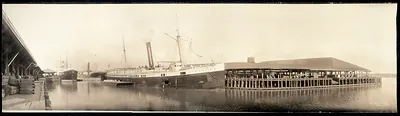 Docks at Savannah, Georgia, 1909