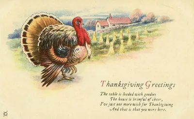 Thanksgiving Greetings turkey postcard with verse