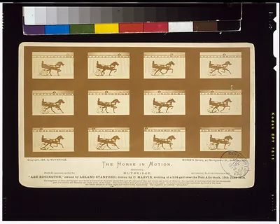The Horse in motion. Abe Edgington owned by Leland Stanford; driven by C. Marvin, trotting at a 2:24 gait over the Palo Alto track, 15th June 1878 / Muybridge.