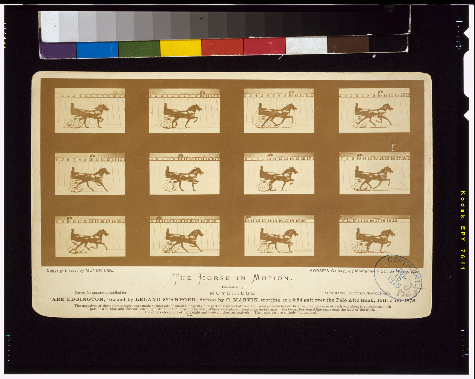 The Horse in motion. Abe Edgington owned by Leland Stanford; driven by C. Marvin, trotting at a 2:24 gait over the Palo Alto track, 15th June 1878 / Muybridge. — historic photograph