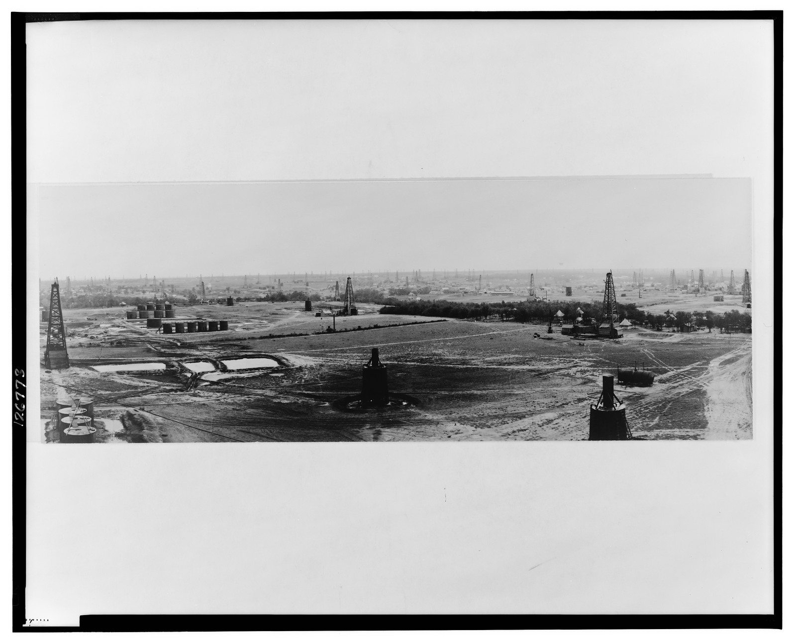 Desdemona field, c1919. — historic photograph