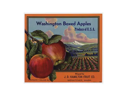Washington Boxed Apples crate label, J.D. Hamilton Fruit Co.