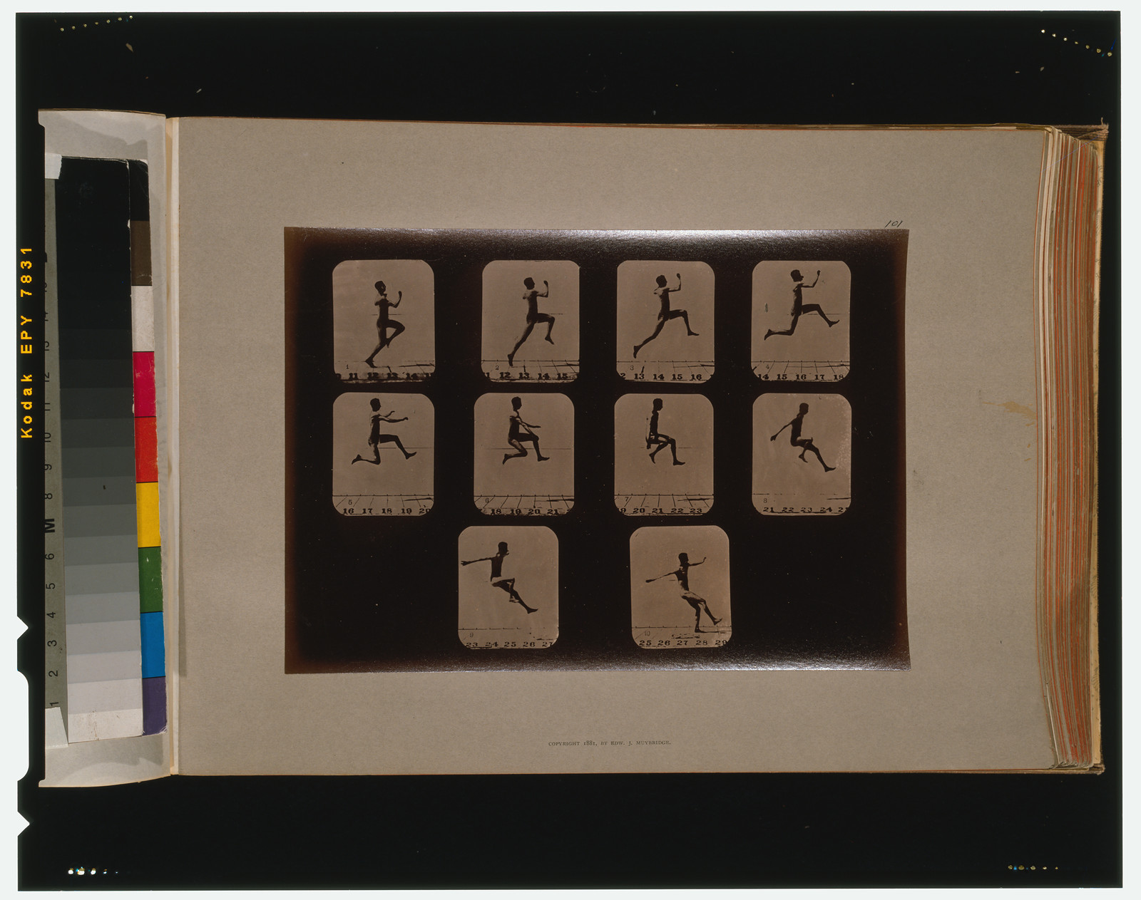 Athletes. Running long leap, [San Francisco] : Muybridge, c1881. — historic photograph