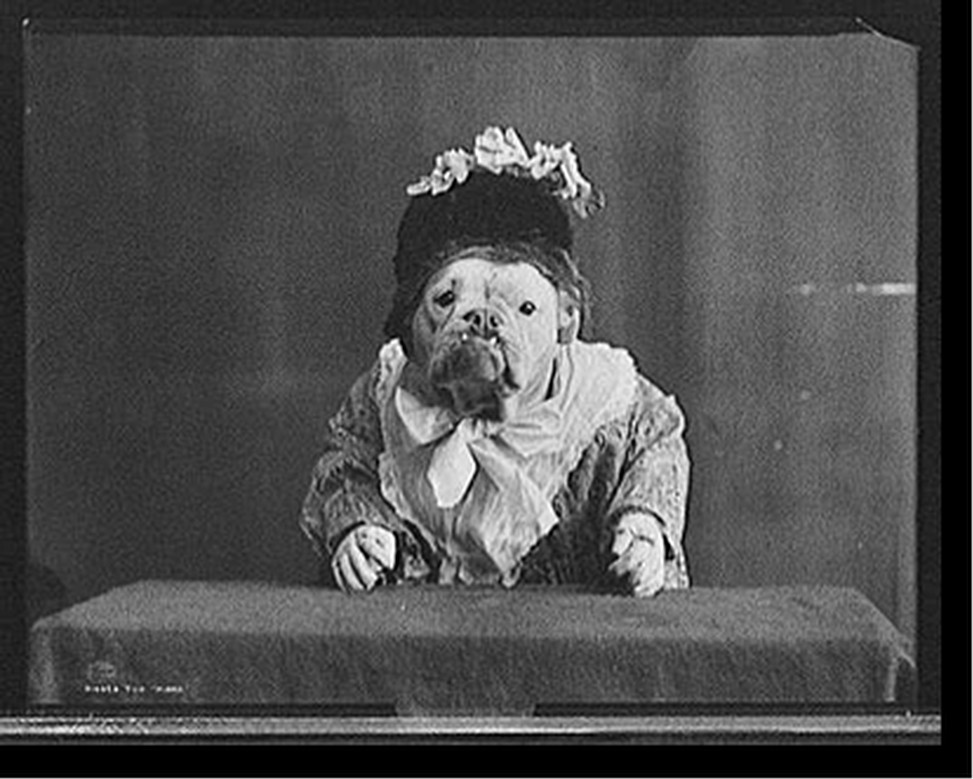 Missis, The, c1905. — historic photograph