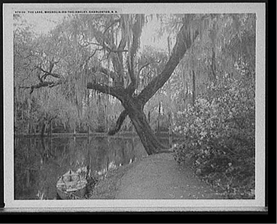 The Lake, Magnolia-on-the-Ashley, Charleston, S.C.