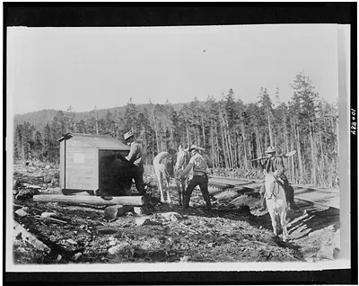 [Forest officers traveling by horse leaving tool box for firefighting, Arapaho National Forest, Colorado(?)]