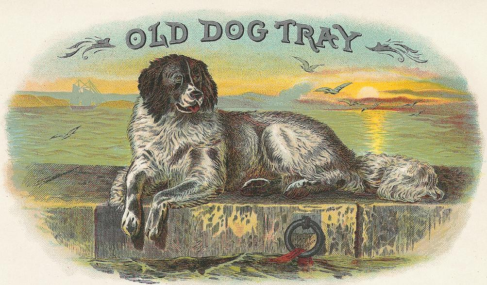 Old Dog Tray cigar label with reclining dog at sunset — historic image