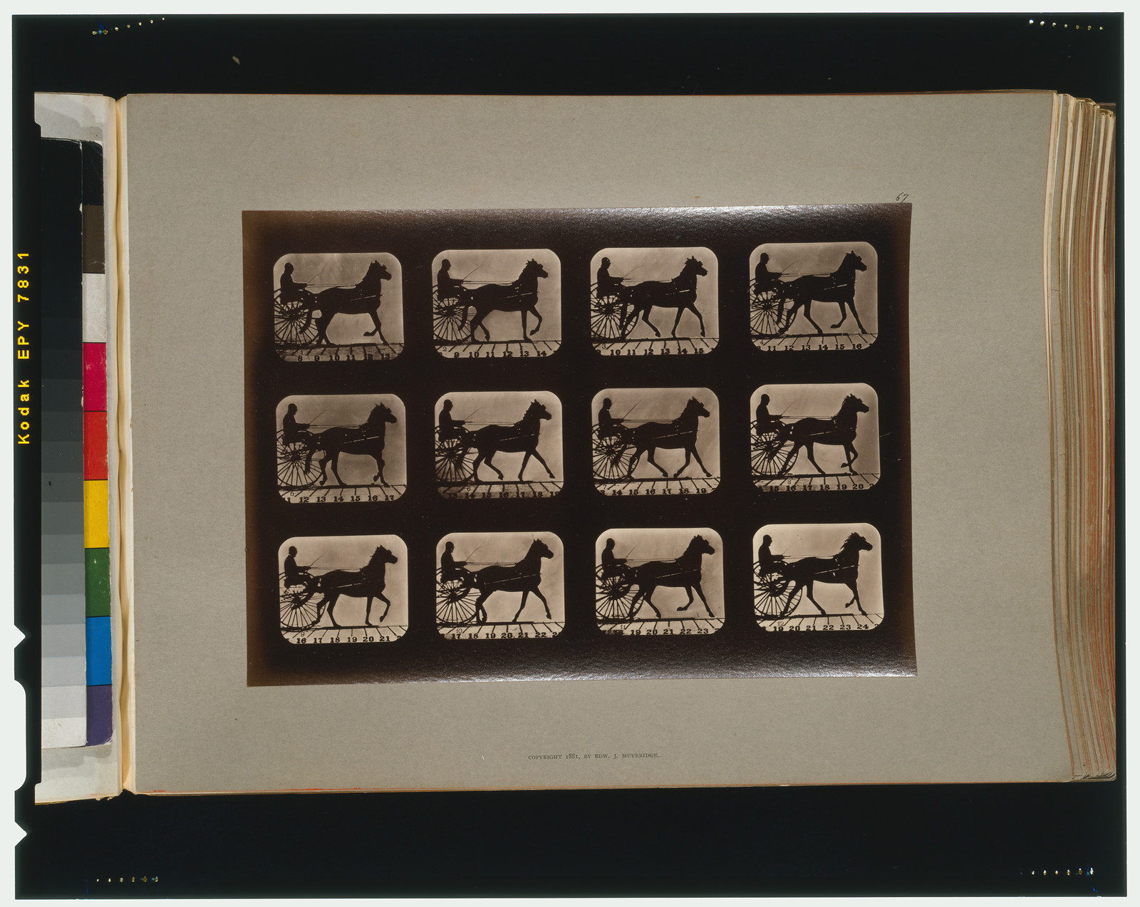 Horses. Irregular, [San Francisco] : Muybridge, c1881. — historic photograph