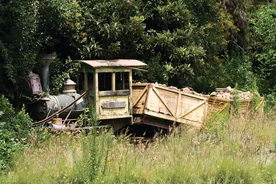 Abandoned steam locomotive and ore wagons in overgrown vegetation