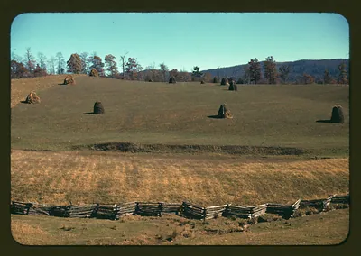 Hay shocks on rolling hillside behind split-rail fence