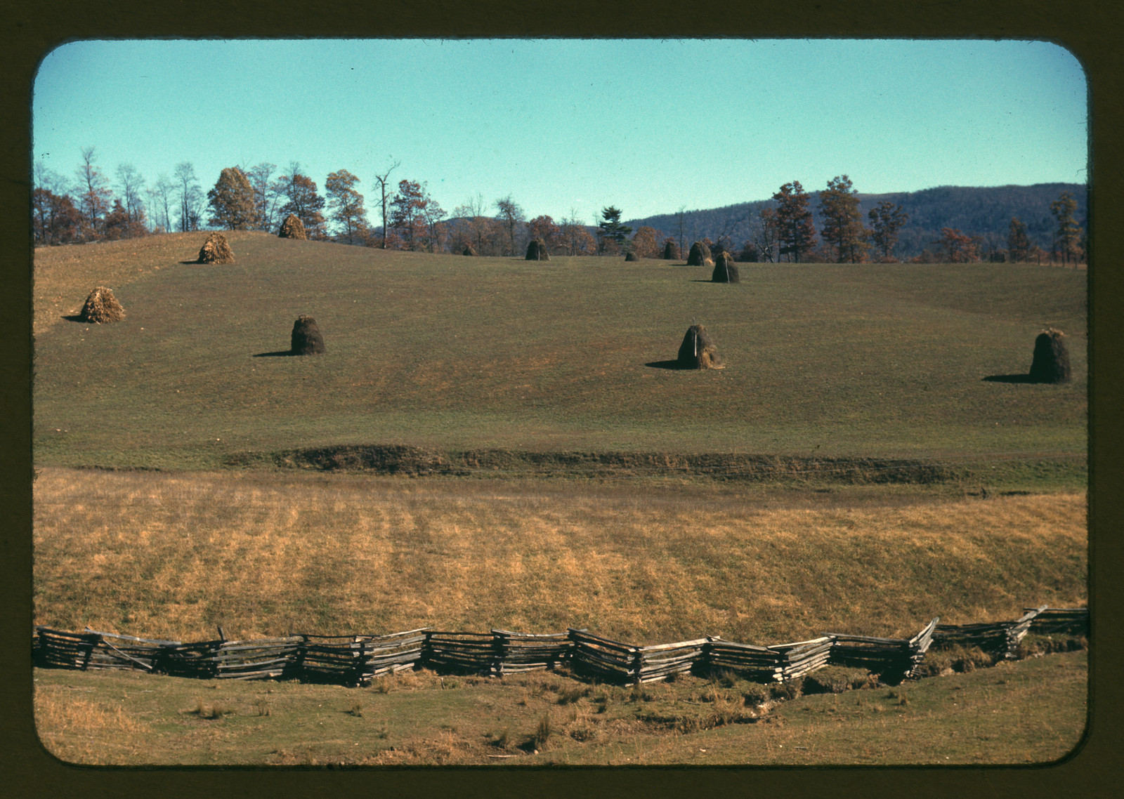 Hay shocks on rolling hillside behind split-rail fence — historic image