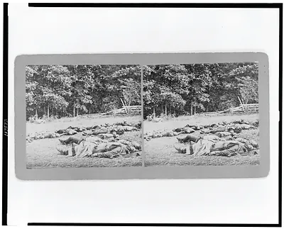 [Confederate dead gathered for burial at the southwestern edge of the Rose Woods, Gettysburg, Pa., July 5, 1863]
