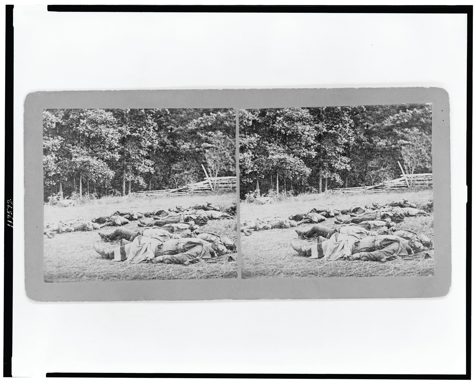 [Confederate dead gathered for burial at the southwestern edge of the Rose Woods, Gettysburg, Pa., July 5, 1863], Gettysburg, Pa. : Published by Mumper & Co., [1863] — historic photograph