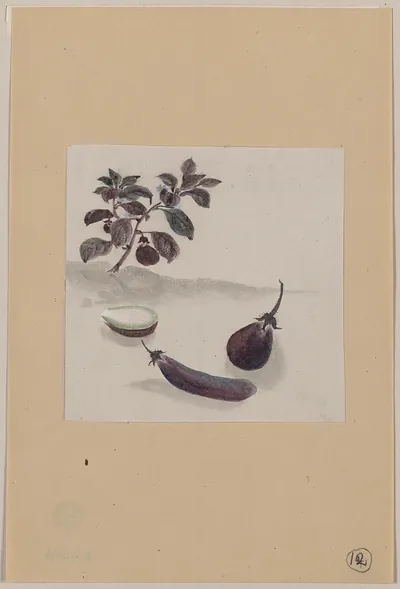 [Japanese drawing]