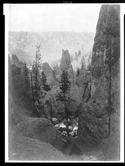 [Columns of volcanic breccia near Tower Falls, Yellowstone National Park, Wyoming]