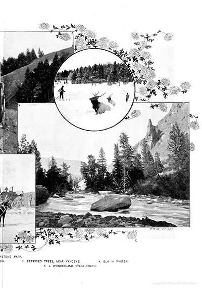 Yellowstone plate: petrified trees, elk in winter, stage-coach