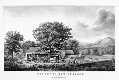 Autumn In New England: Cider Making