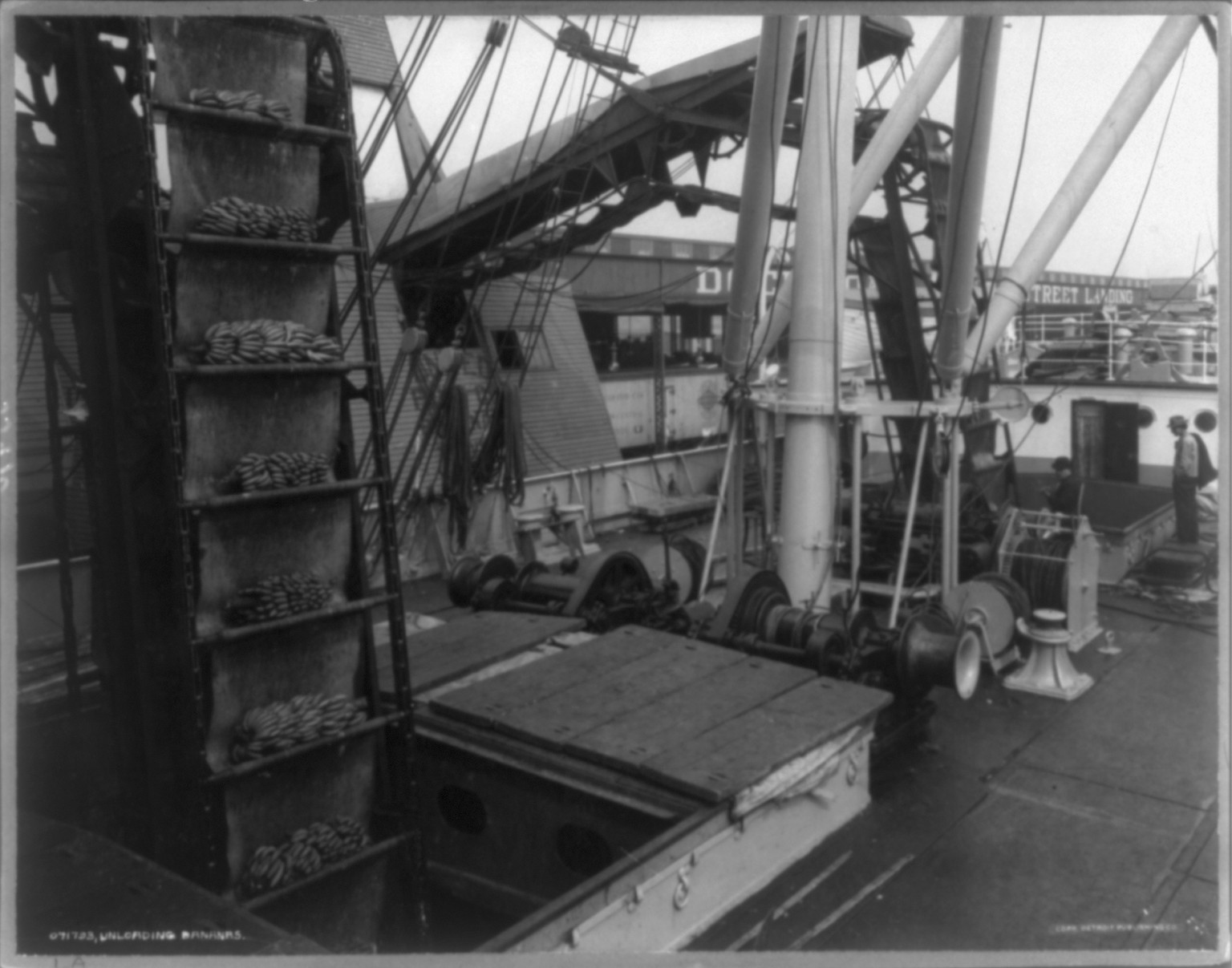 Unloading bananas from a ship, by means of a conveyor, c1911 Jan. 9. — historic photograph
