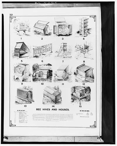 Bee Hives and Houses