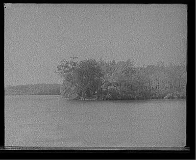 Tupelo Pt. [Point] from lake, Wellesley College, Mass.