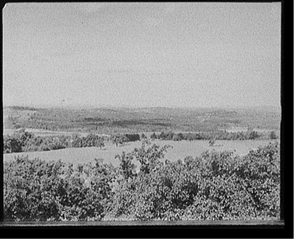 [Lake Winnipesaukee, N.H., Great Asquam [i.e. Squam] from Shepard Hill], [between 1890 and 1910] — historic photograph