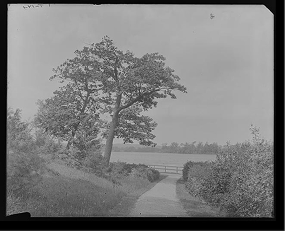 [Fresh pond, Cambridge, Mass.], [between 1900 and 1920] — historic photograph