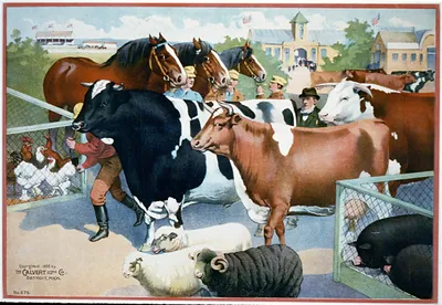 [Men with cattle, horses, sheep, pigs and chickens at country fair]