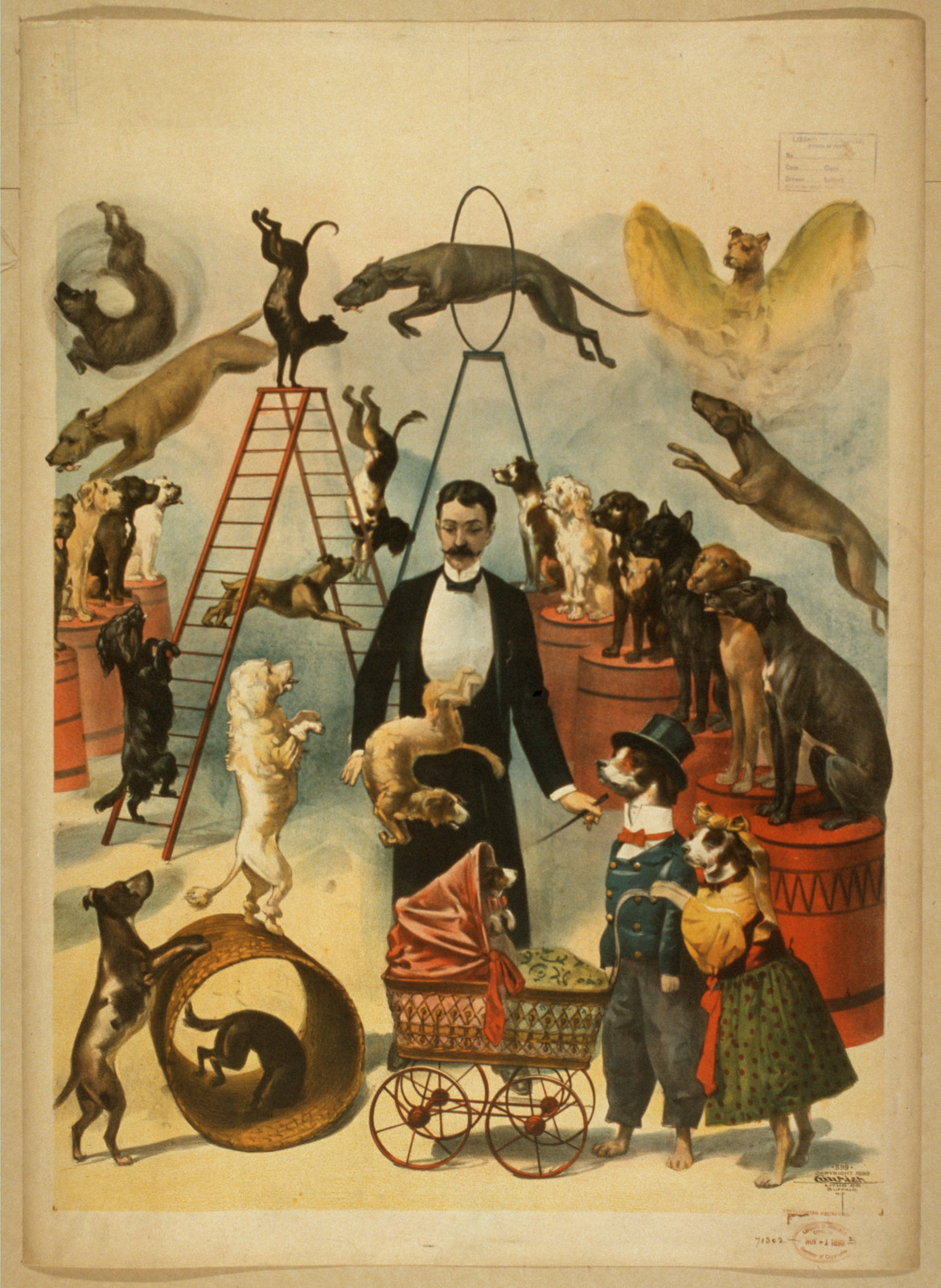 [Trained dog act], 1899 — vintage poster