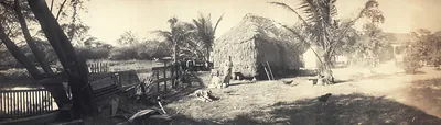 A Hawaiian grass house, 1902