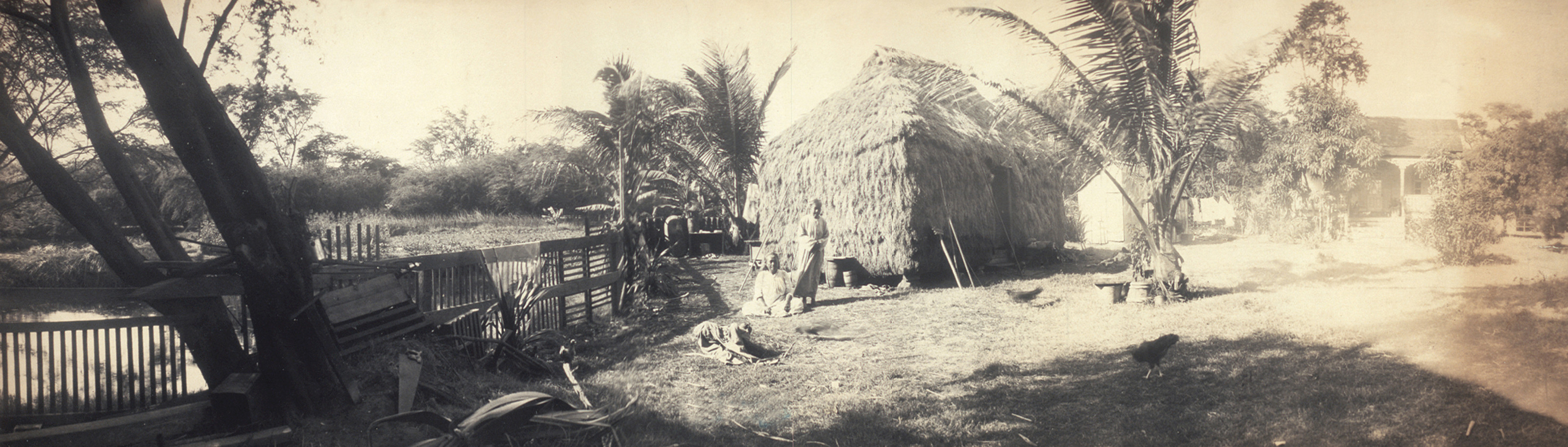 A Hawaiian grass house, 1902, 1902 — historic image