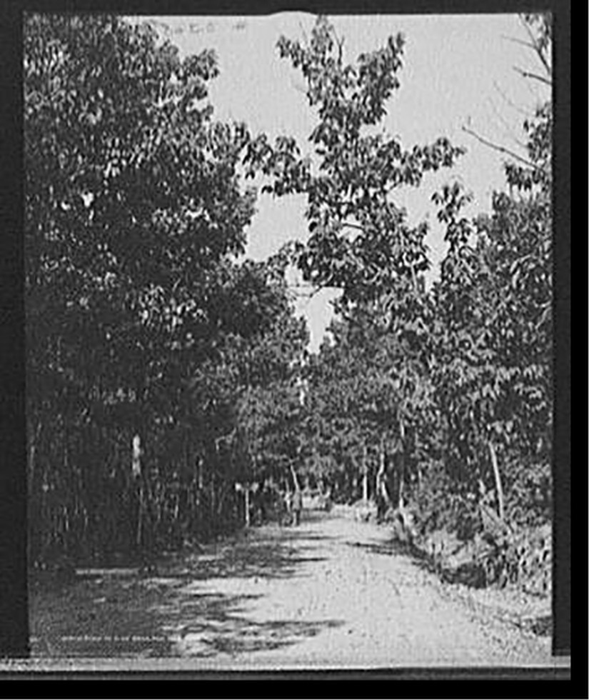 Road to High Rock, Pen Mar Park, Md., [between 1900 and 1906] — historic photograph