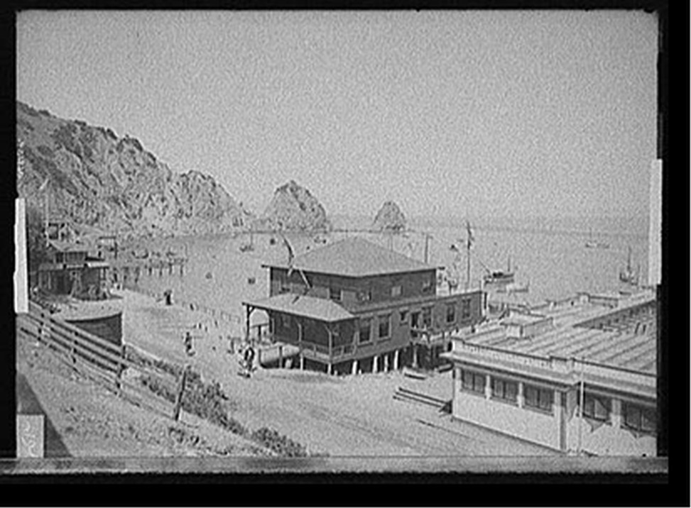 [Tuna Club clubhouse, Avalon, Catalina Island, Calif.], [between 1900 and 1915] — historic photograph