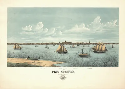 Provincetown from Long Point