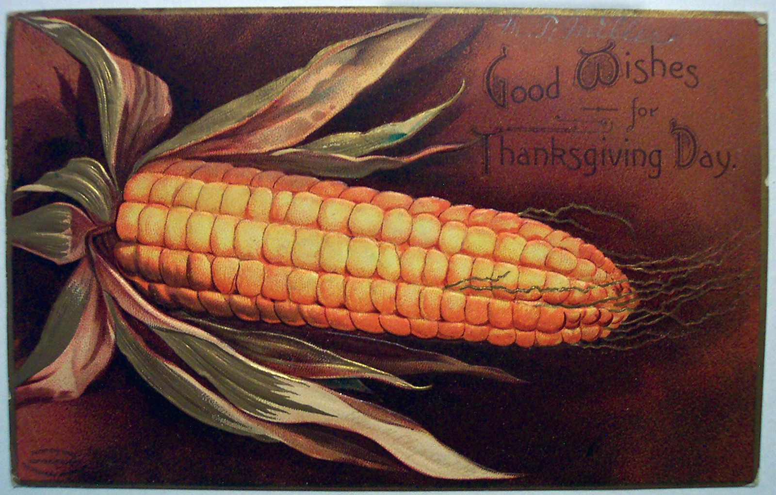 Good Wishes for Thanksgiving Day, ear of corn postcard — vintage postcard