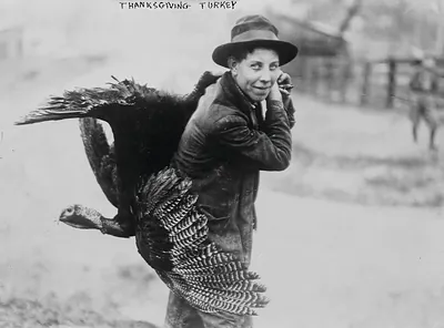 Thanksgiving Turkey