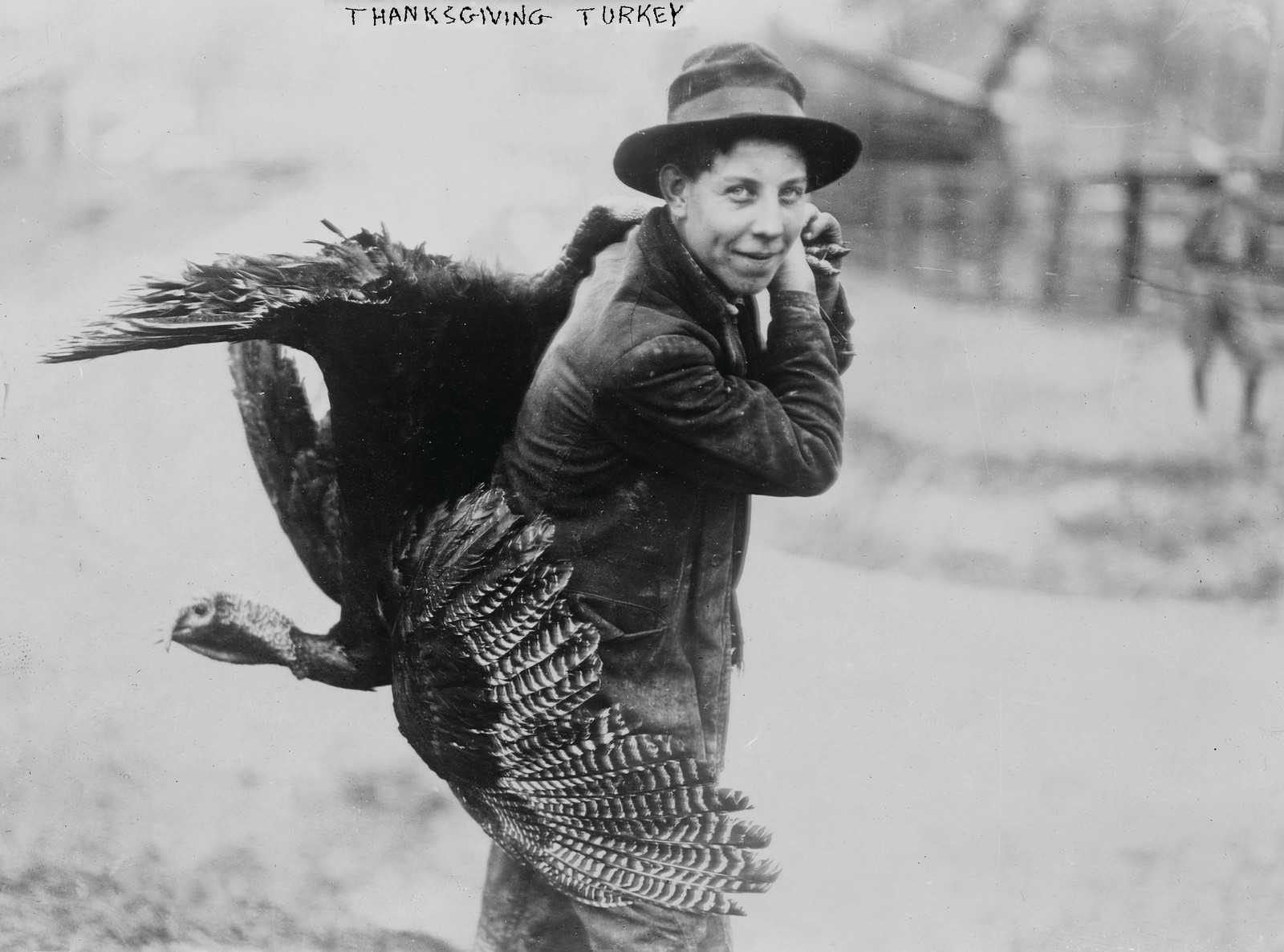 Thanksgiving Turkey, c. 1910-1915 — historic photograph