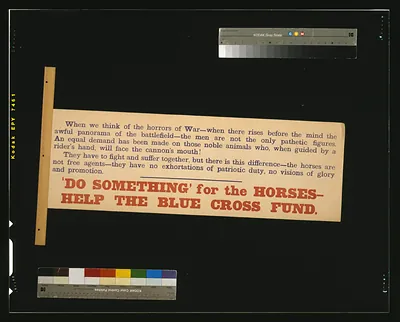 Do something" for the horses - help the Blue Cross Fund"