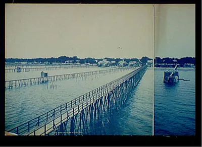 Shore Line at Bay St. Louis, Miss.