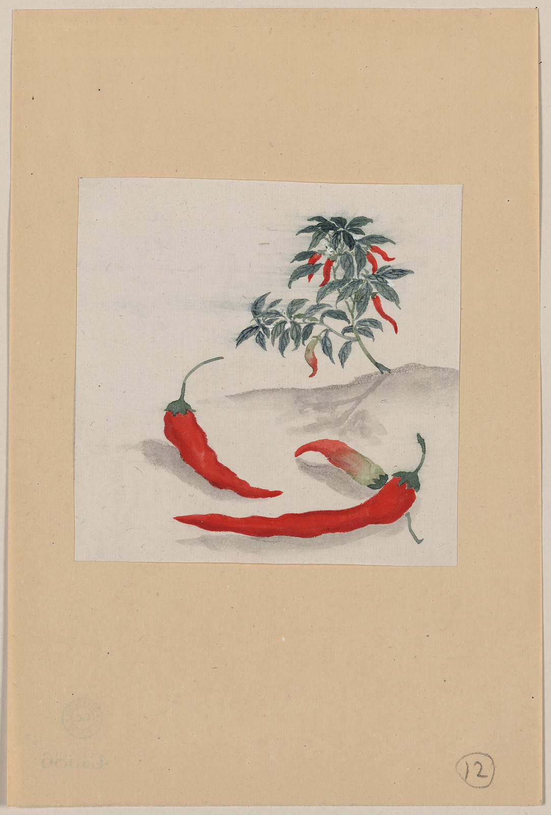 [Japanese drawing], 1750 — historic drawing