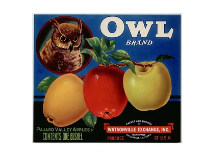 Owl Brand Pajaro Valley Apples crate label