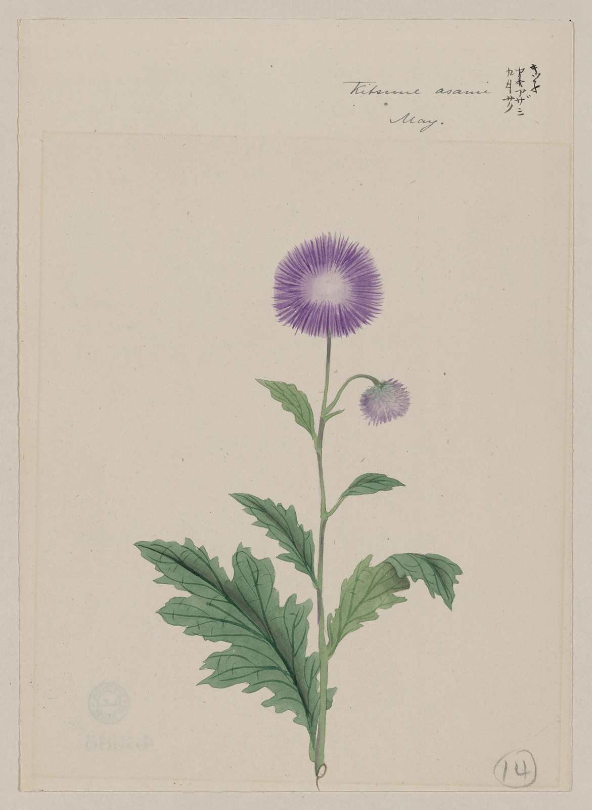[Japanese drawing], 1750 — historic drawing