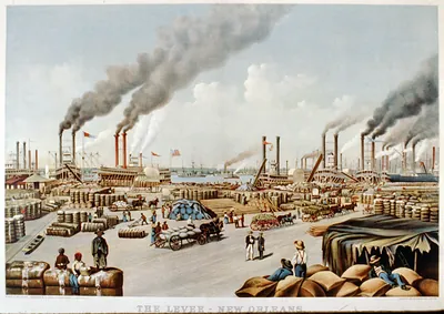 The levee-New Orleans