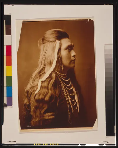 Sawyer--Nez Percé