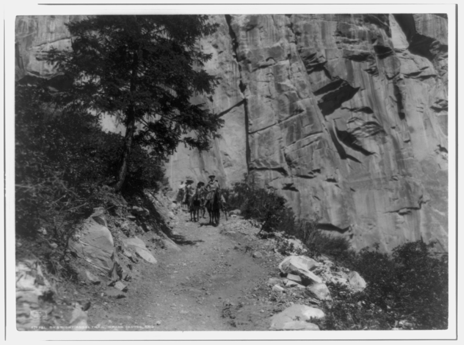 On Bright Angel Trail, Grand Canyon, Ariz., c1908. — historic photograph